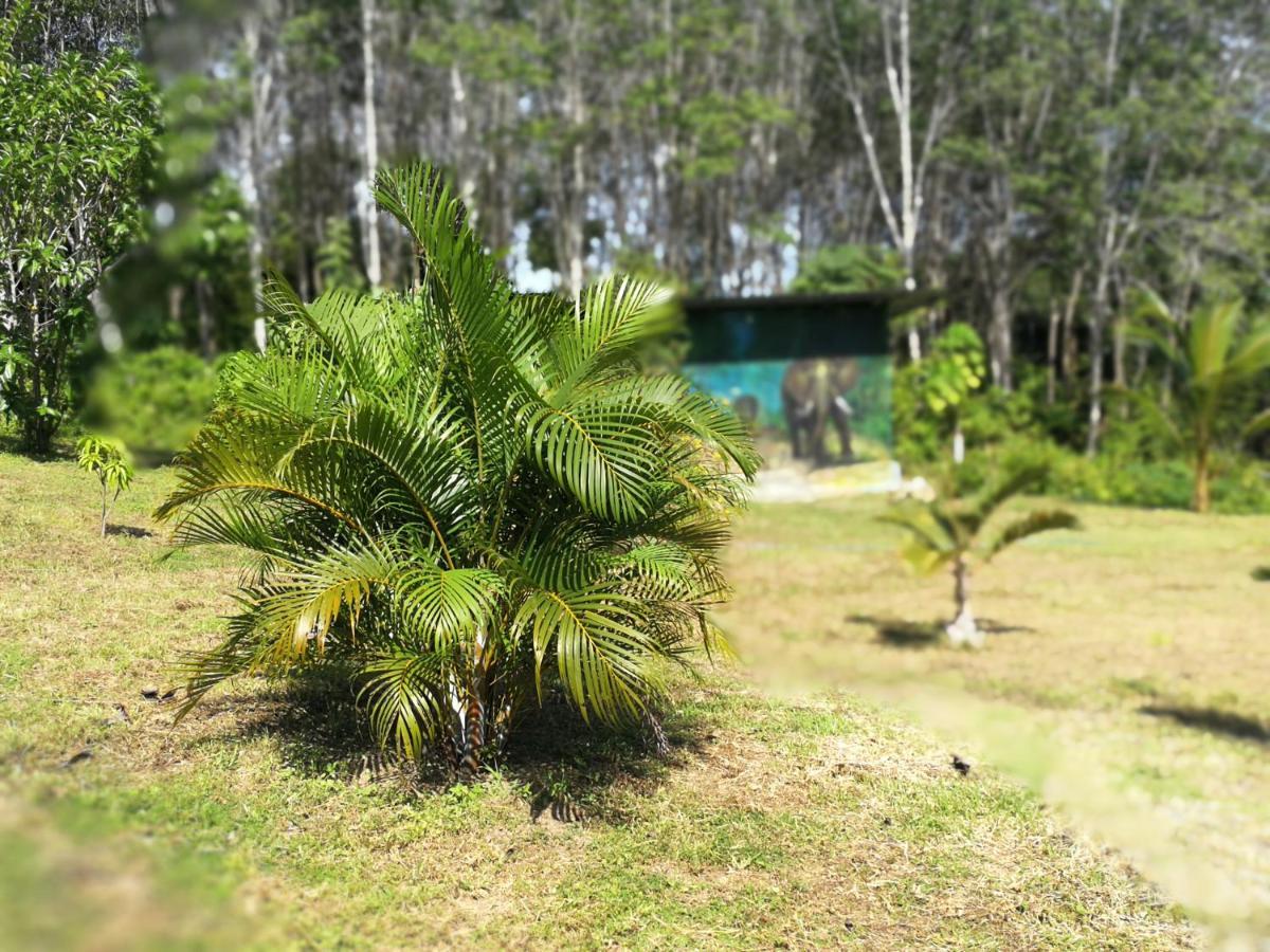 Palm Garden House Apartman Ko Lanta Kültér fotó