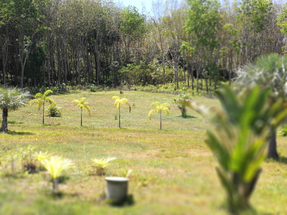 Palm Garden House Apartman Ko Lanta Kültér fotó